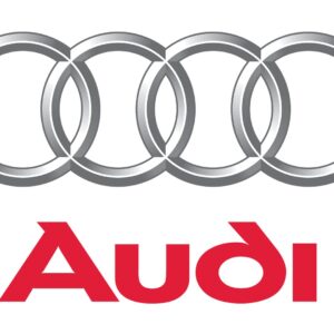 AUDI OEM CONVEX MIRROR GLASS