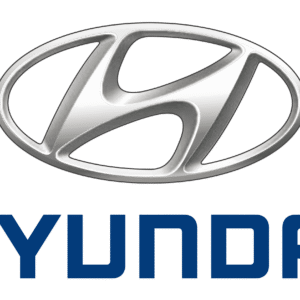 HYUNDAI VENUE OEM CONVEX MIRROR GLASS